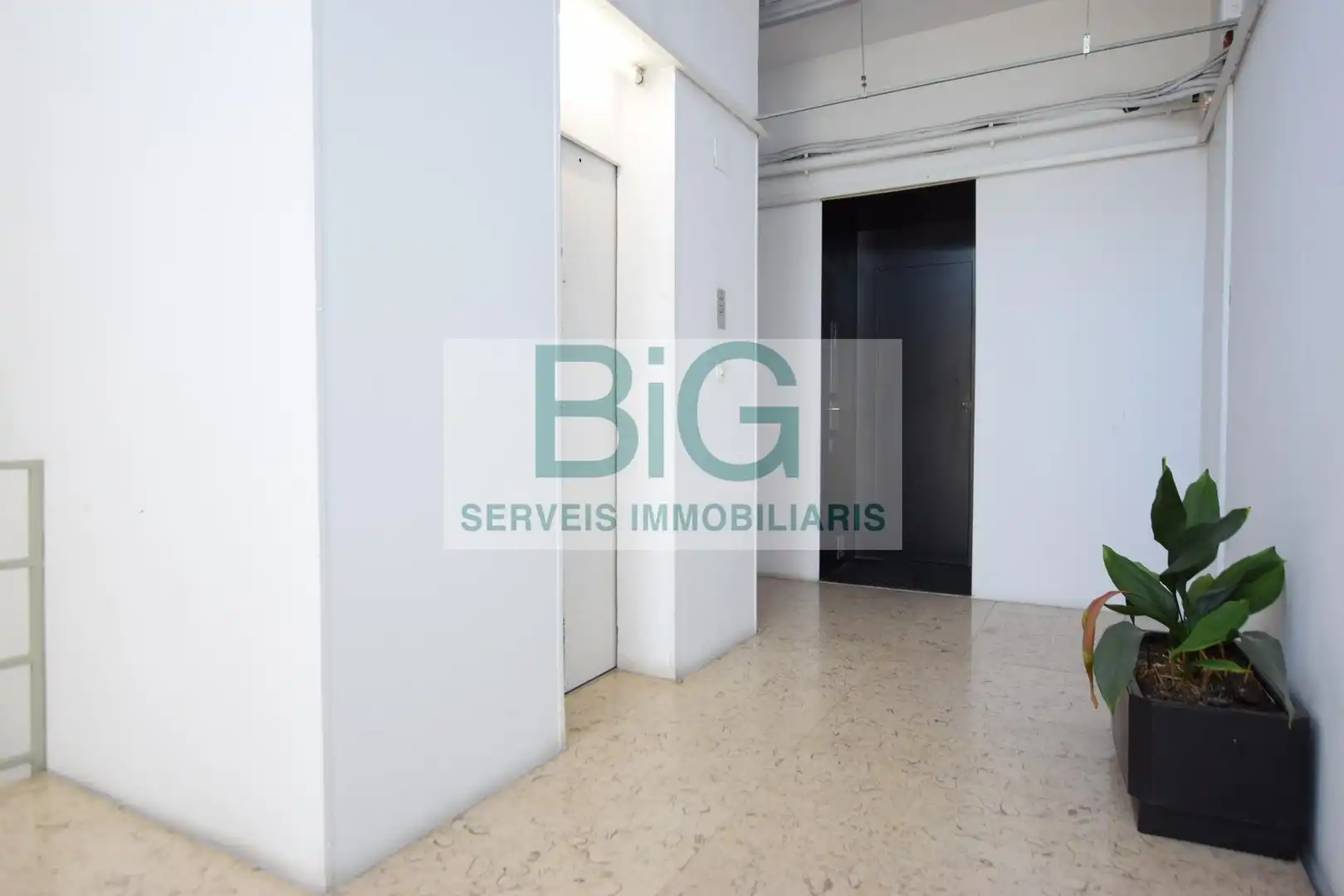 Office space with lift to rent in Carrer RAMBLA LA, imagen 5