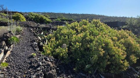 Foto 5 von Grundstücke zum Verkauf in Santiago del Teide pueblo, Santiago del Teide