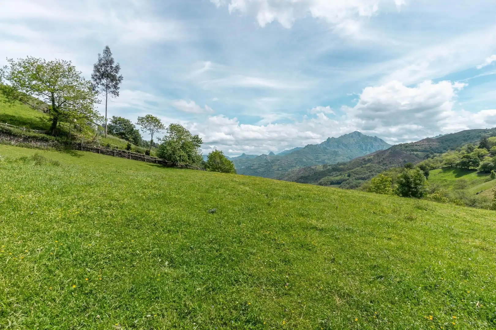 Adossat amb jardí en venda a Lugar MERUXAL,EL 40, imagen 39