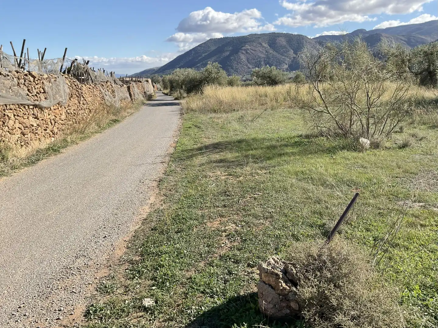 Land for sale in Padules