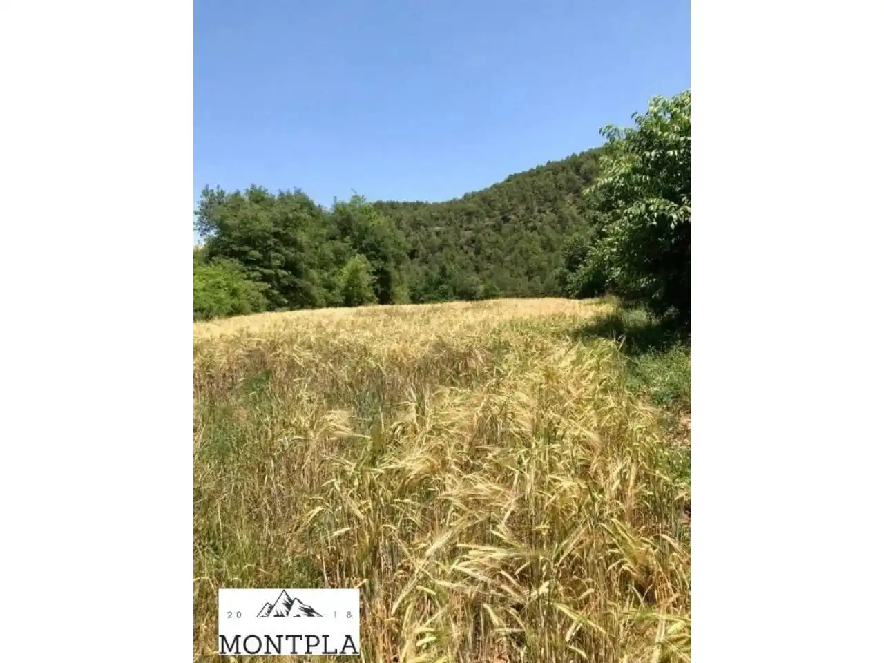 Casa o chalet en venta en La Baronia de Rialb