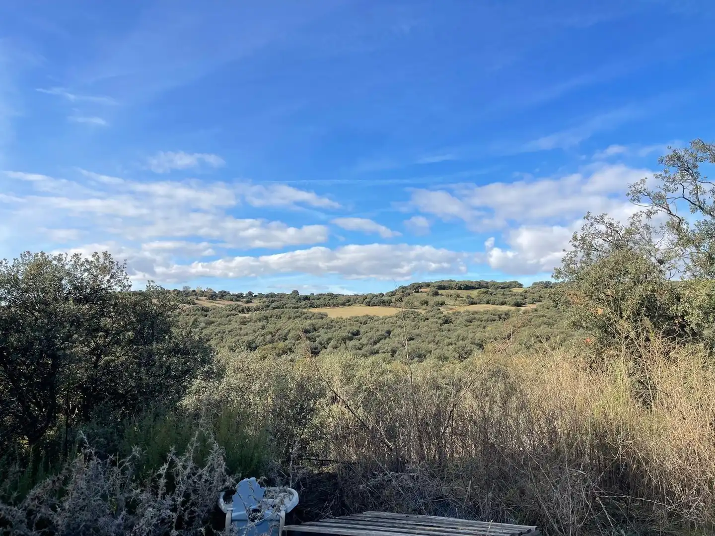 Terreno residencial en venta en Avenida de Sotolargo, imagen 15