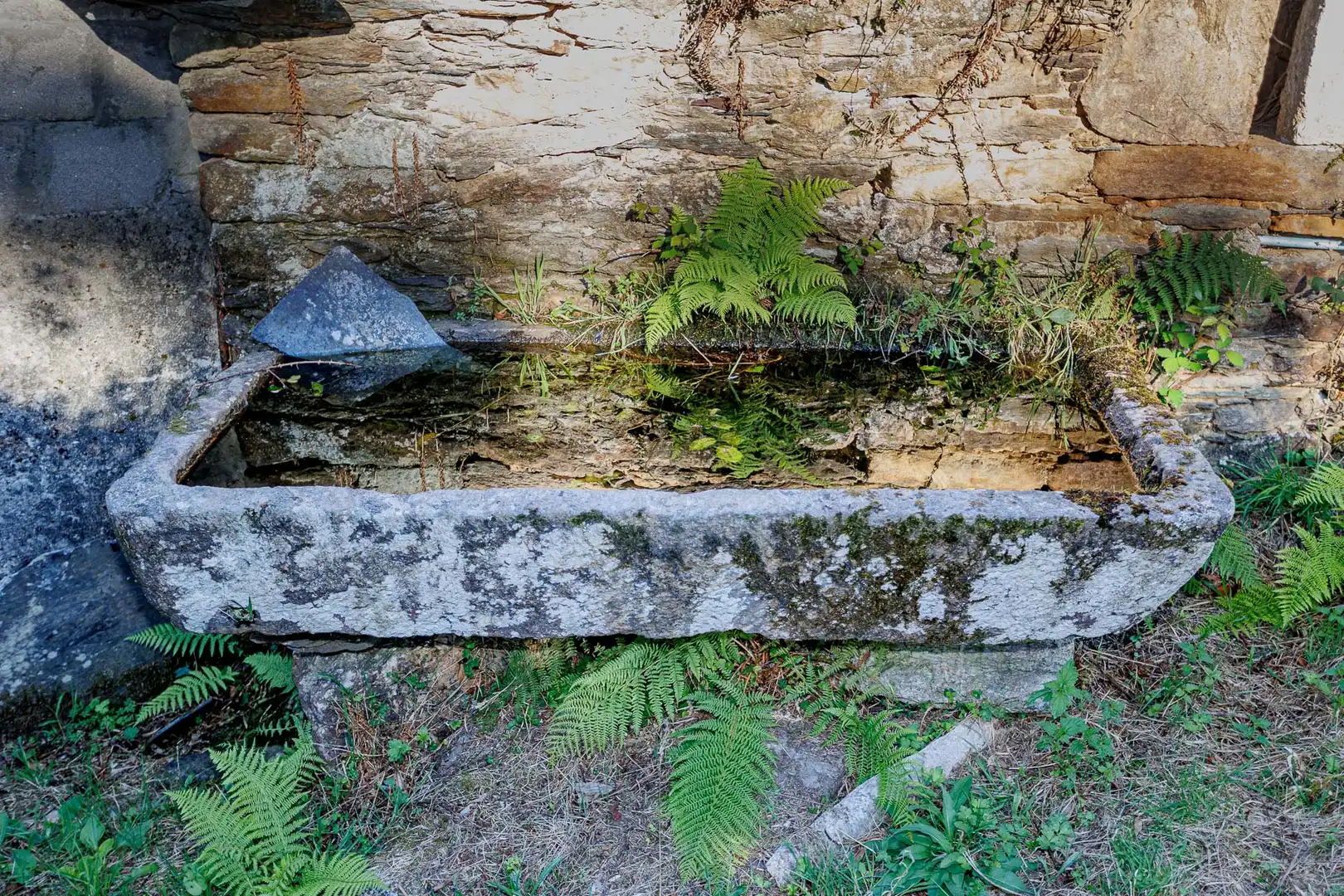 Jardí de Finca rústica en venda en As Somozas  amb Moblat