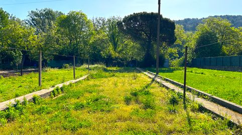 CASA A SARRIÀ DE TER- SANT JULIÀ DE RAMIS, imatge 4