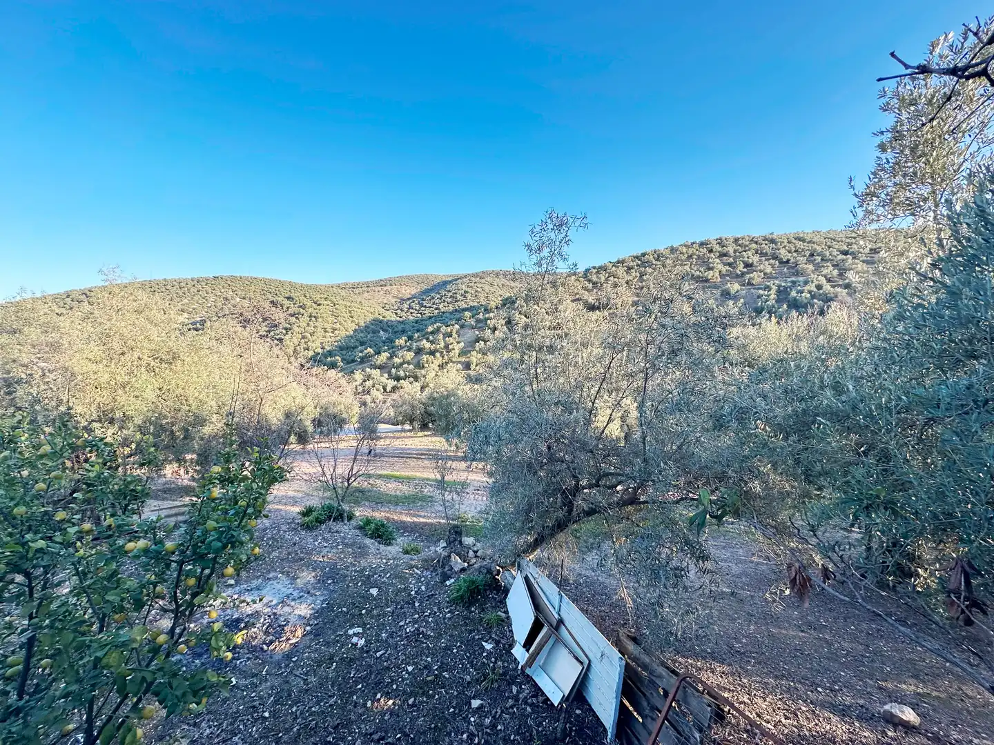 Houses for sale in Villanueva de Algaidas