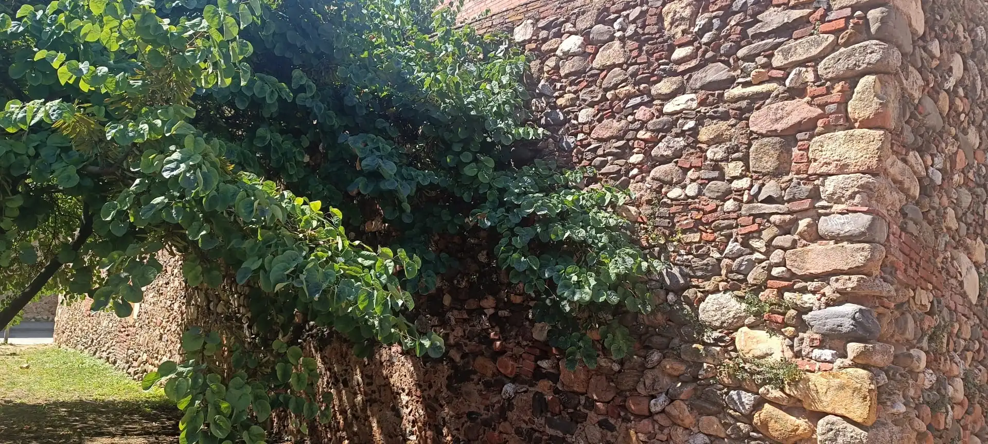 Finca rústica en venda en Sant Celoni