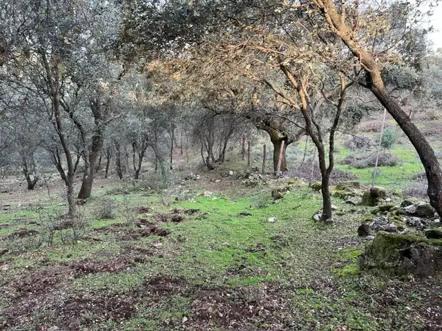 Terreno en venta en Almendral de la Cañada, Toledo