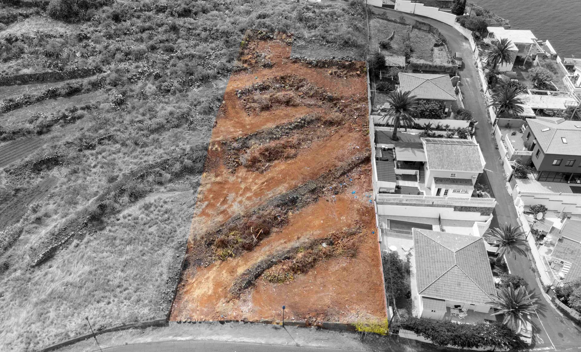 Land for sale in Tacoronte