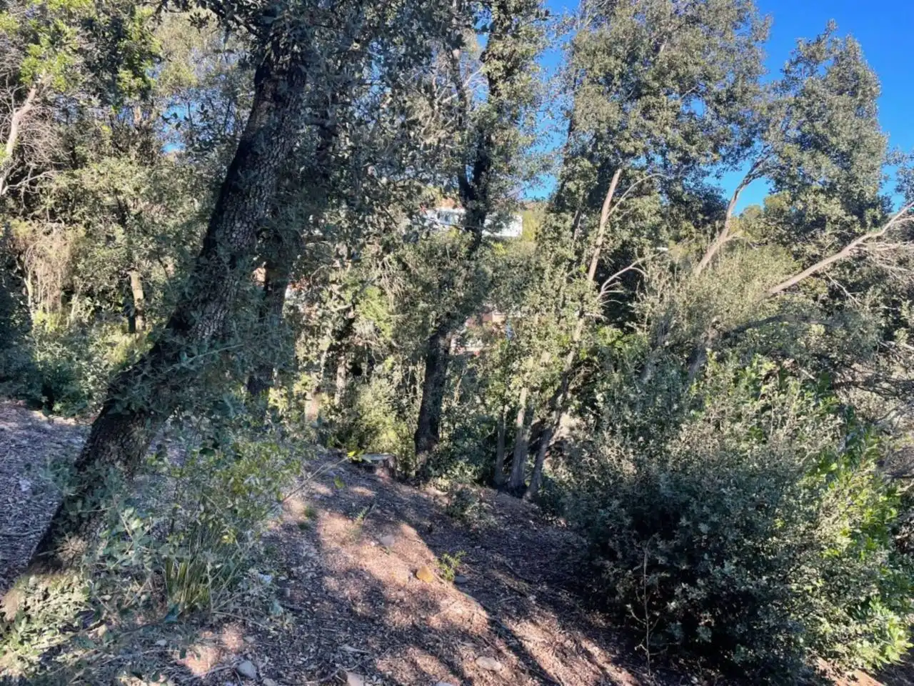 Terrain résidentiel à vendre à Matadepera, imagen 6