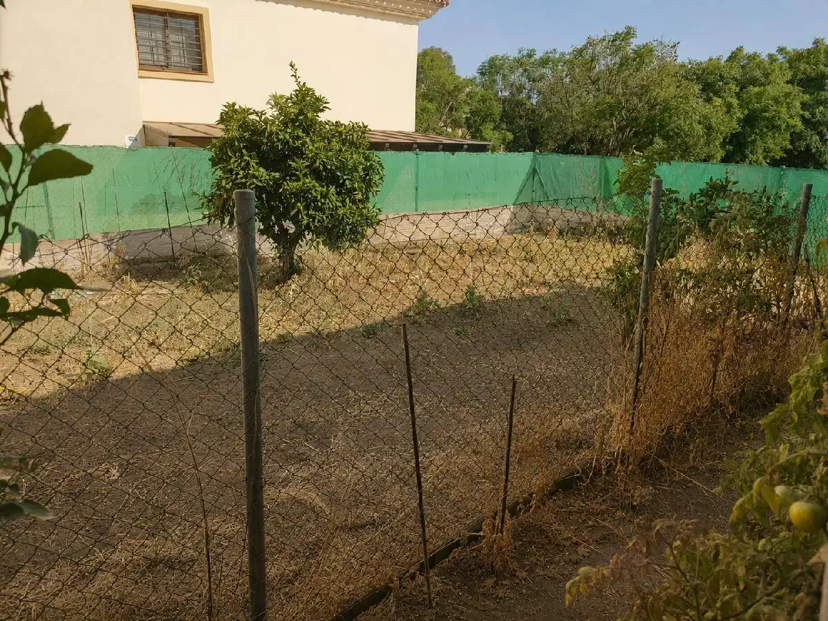 Grundstücke und Bauplätze zum Verkauf in San Pedro de Alcántara, imagen 2