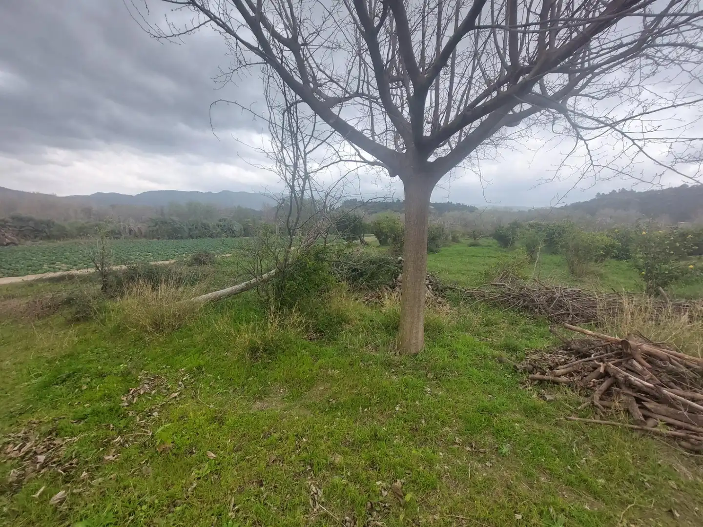 Finca rústica en venda en Xerta amb Calefacció