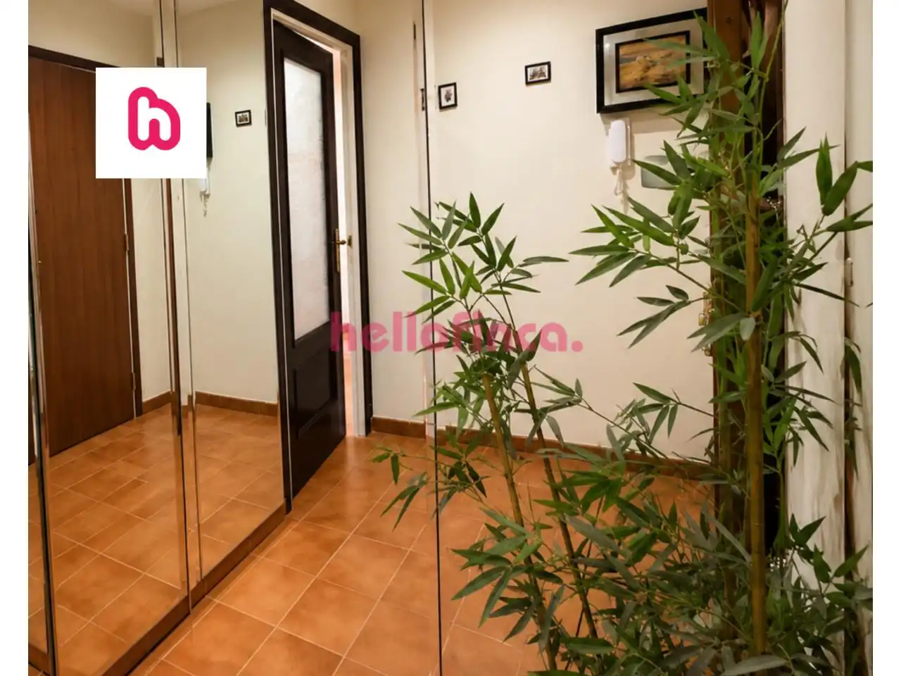 Wohnung mit Terrasse zum Verkauf in Calella, imagen 20