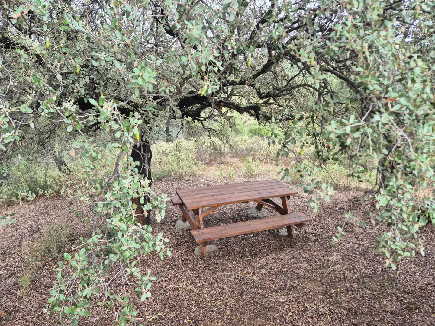 Jardí de Finca rústica en venda en Puerto Serrano amb Aire condicionat, Calefacció i Jardí privat