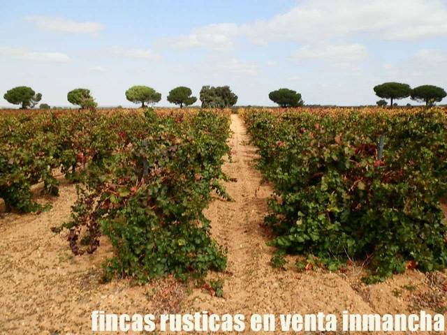 Terreno en Venta en Pozoamargo