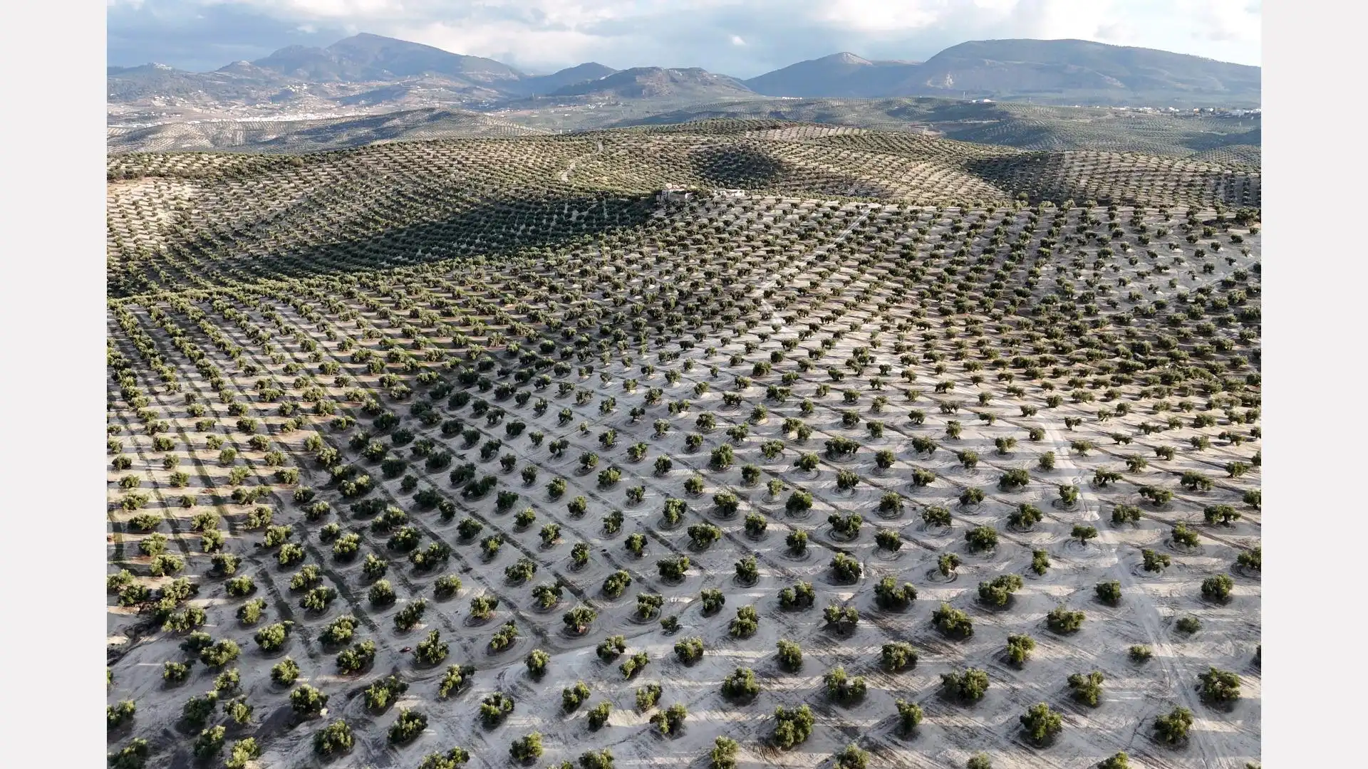Terreno en venta en Torredelcampo