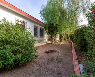 Jardí de Casa o xalet en venda en Torrevieja amb Terrassa