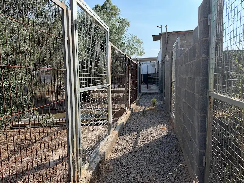 Vista exterior de Finca rústica en venda en L'Alcora amb Terrassa, Piscina i Alarma