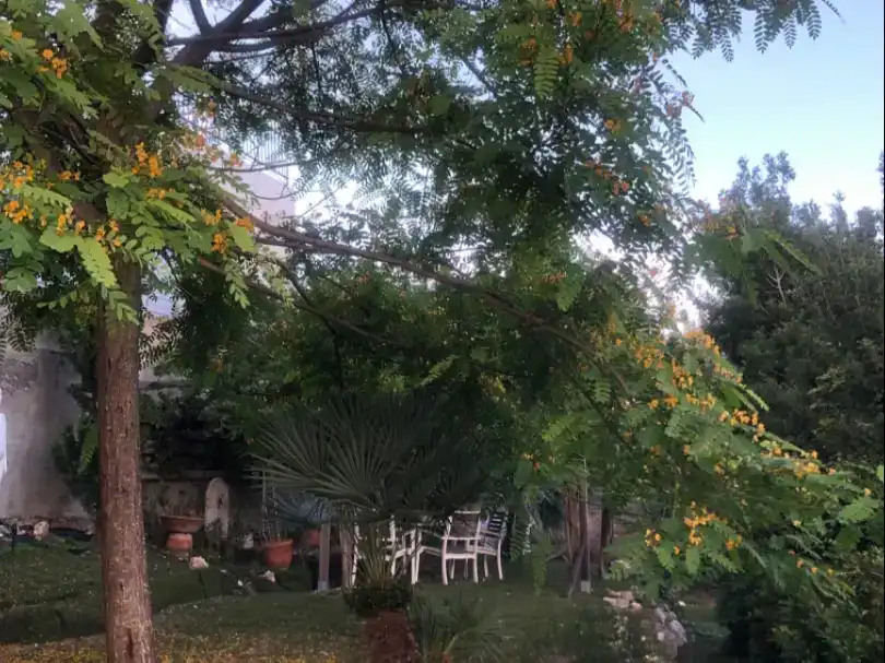 Jardí de Casa o xalet en venda en Cunit amb Aire condicionat, Piscina i Balcó