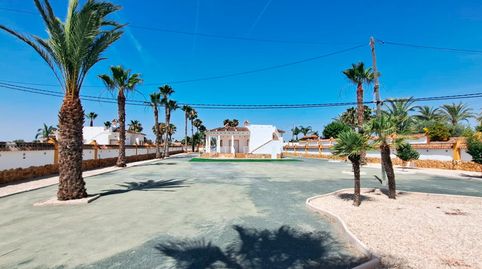 Villa independiente en Catral con 2.300 m² de parcela y gran privacidad, imatge 2