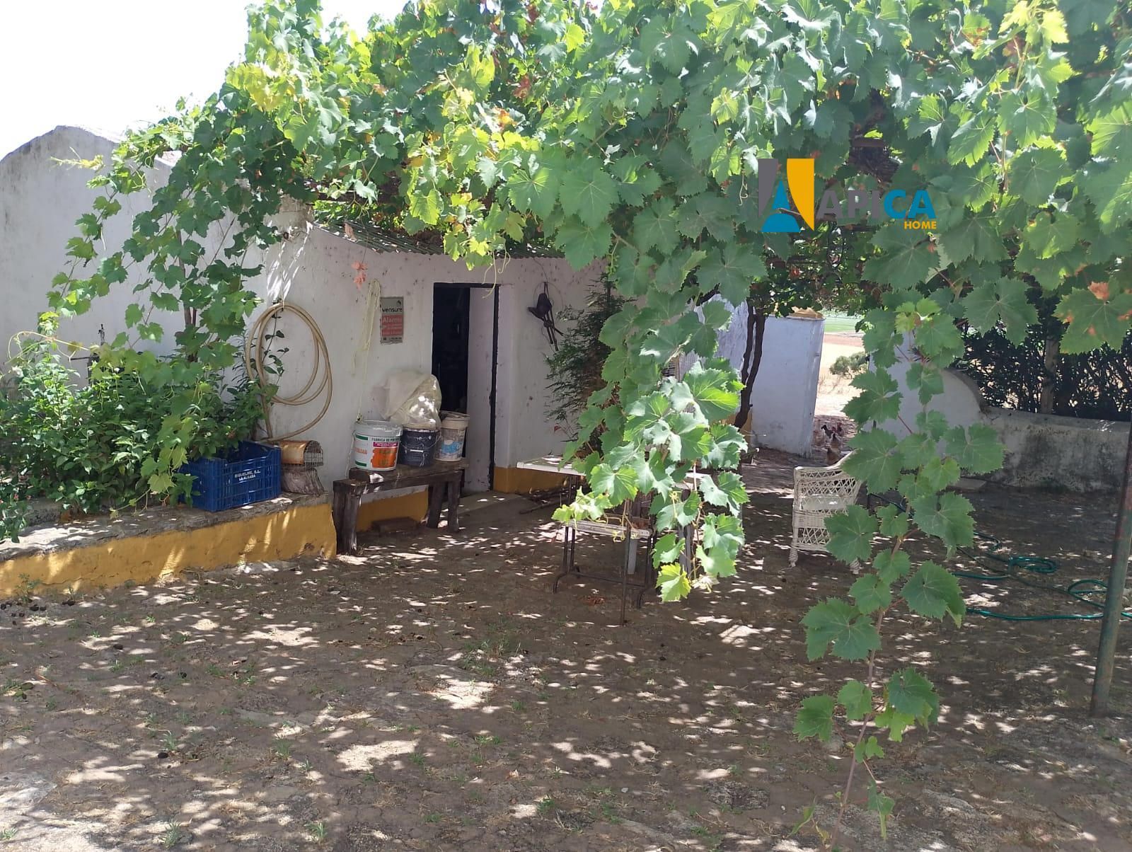 Jardín de Casa o chalet en venta en Vejer de la Frontera con Amueblado