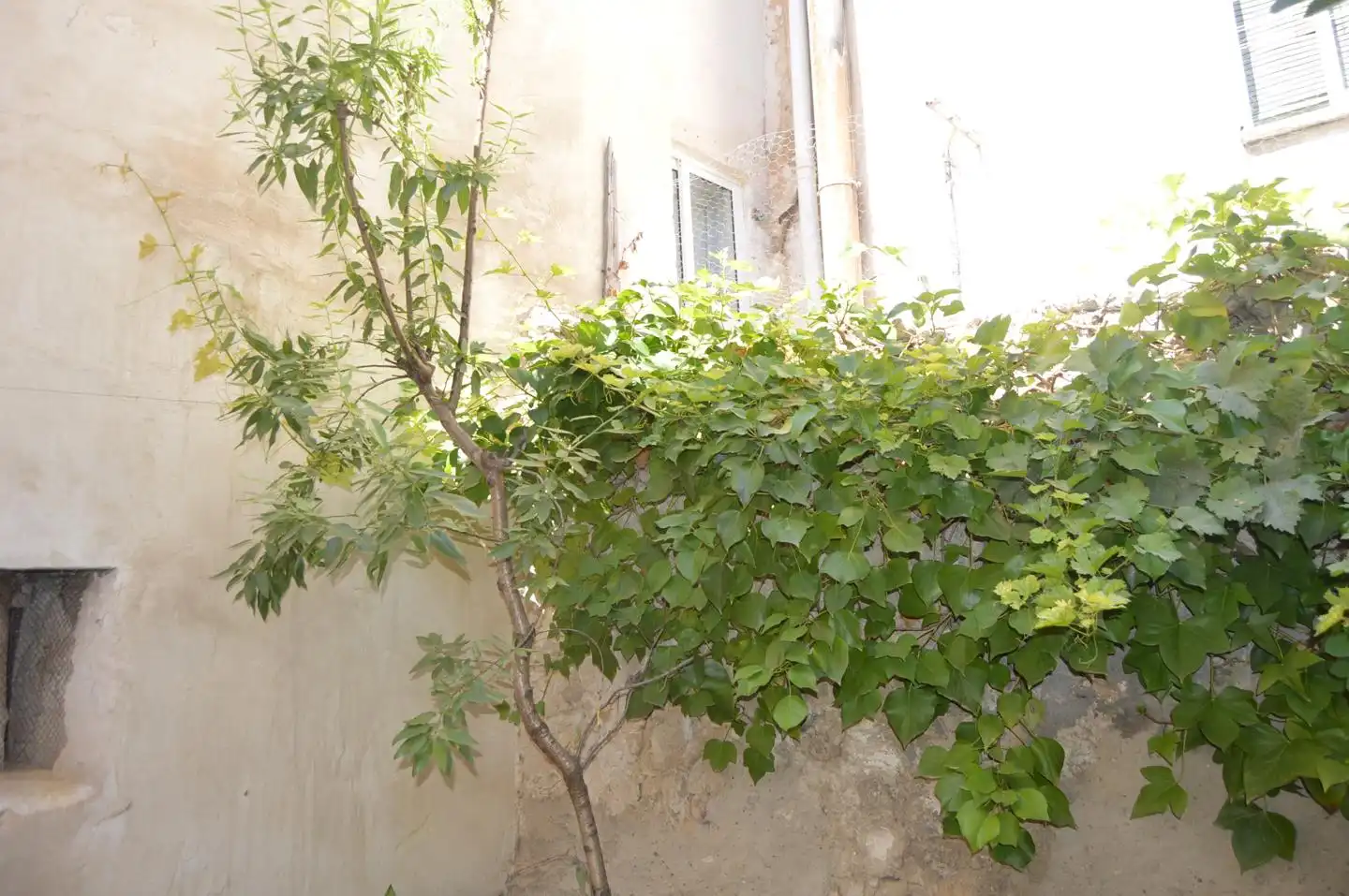 Garden of Houses for sale in Huete  with Furnished