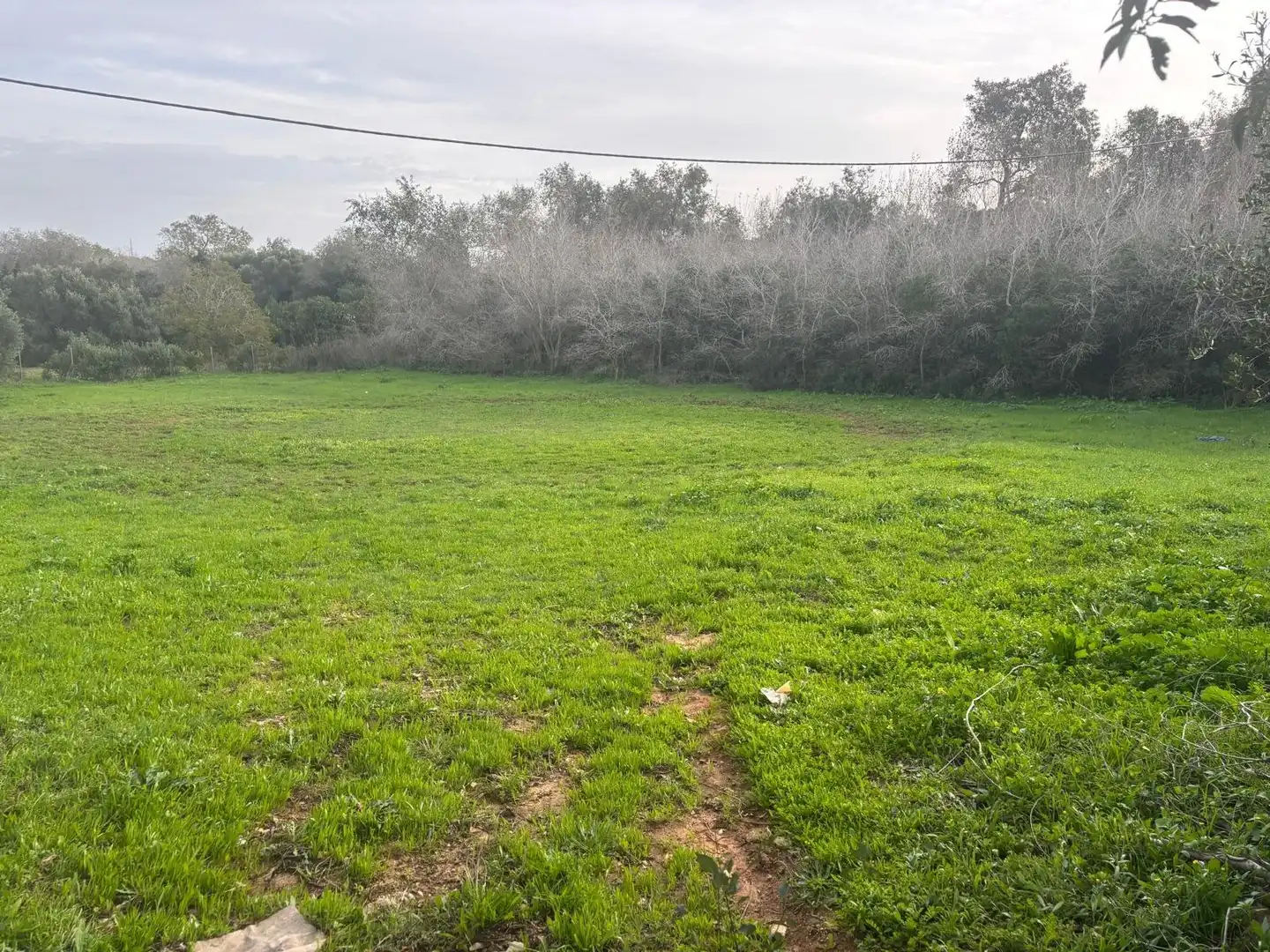 Terreno en venta en Vejer de la Frontera