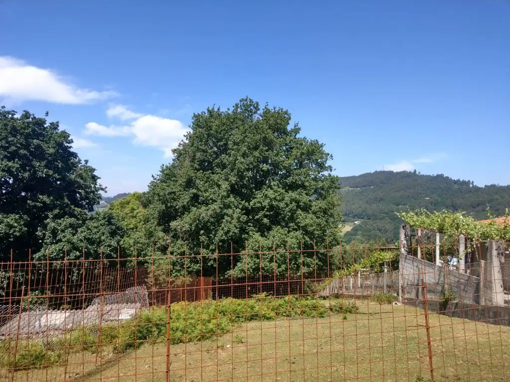 House for sale in Noveledo, imagen 44