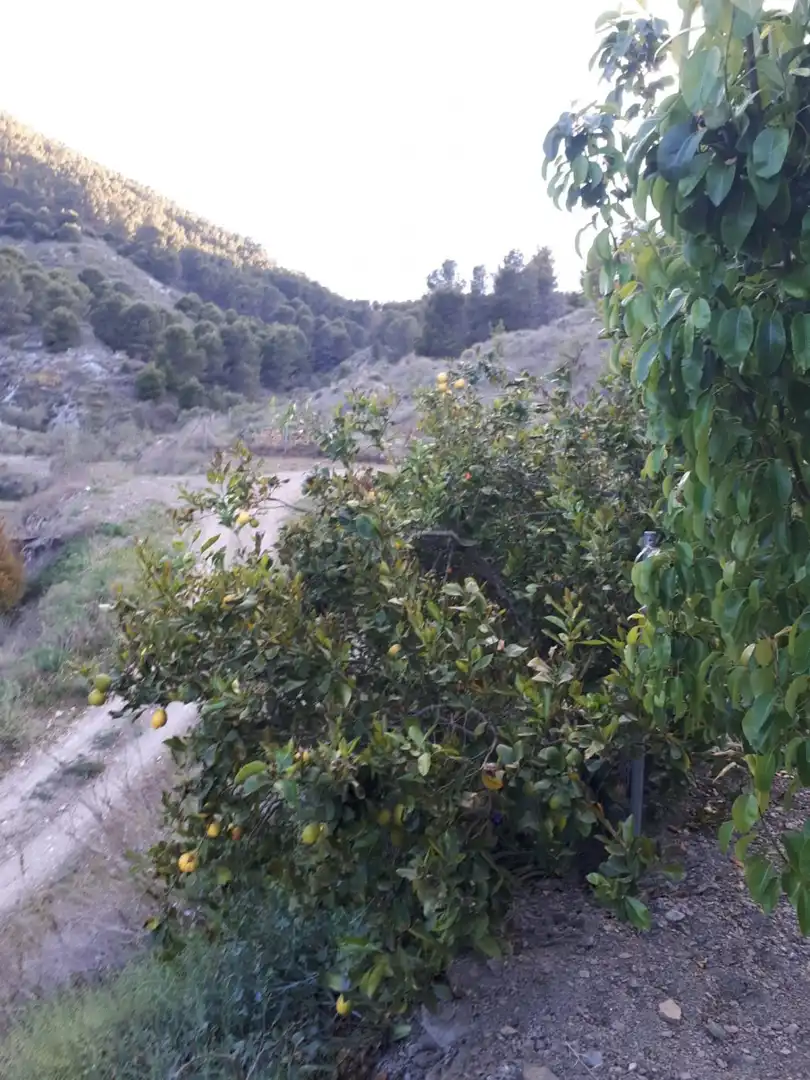 Finca rústica en venta en Purchena con Jardín privado, Trastero y Amueblado