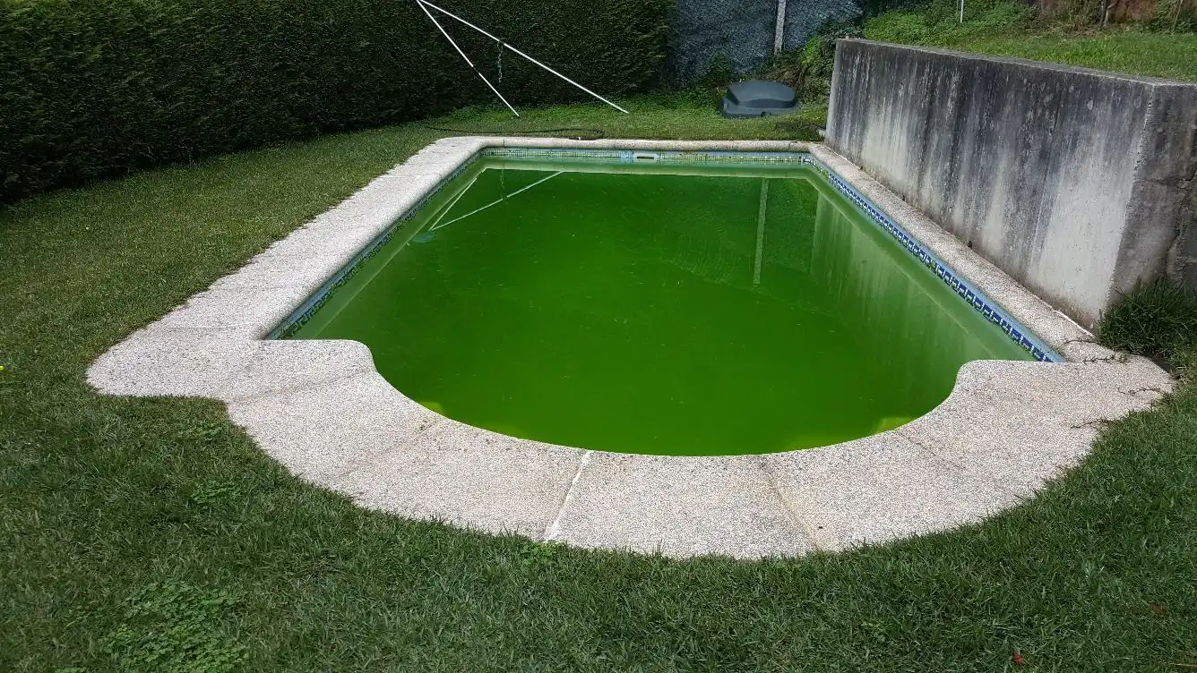 Piscina de Casa o xalet en venda en Vigo  amb Jardí privat, Parquet i Terrassa