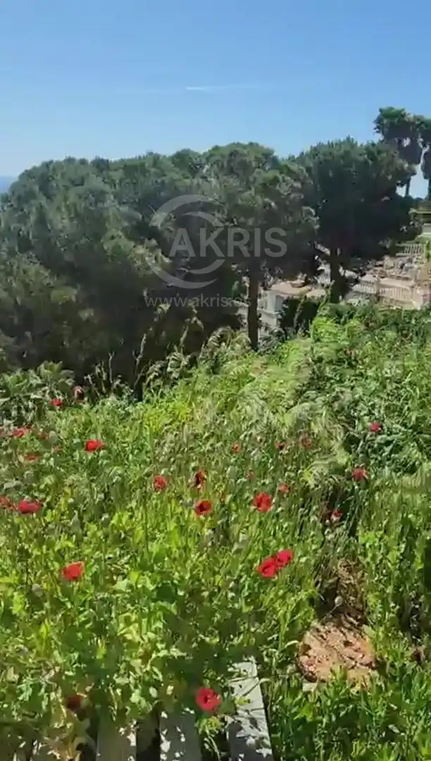 Terreny rústic en venda a Serra Brava, imagen 4