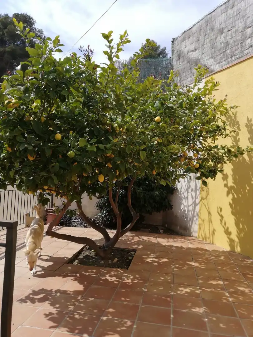 Adosado con piscina en venta en Segur de Calafell, imagen 34