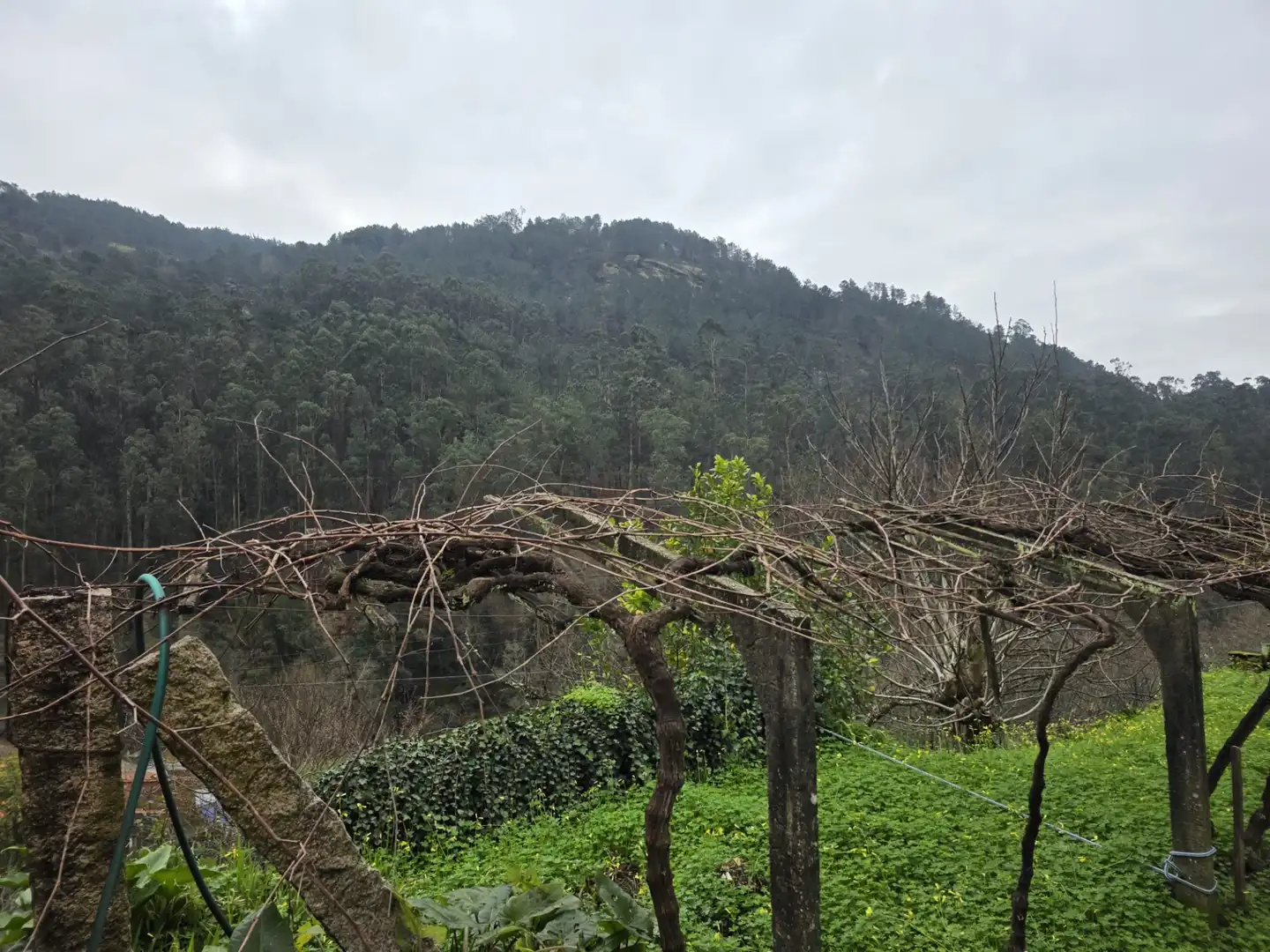 Casa o chalet en venta en O Porriño