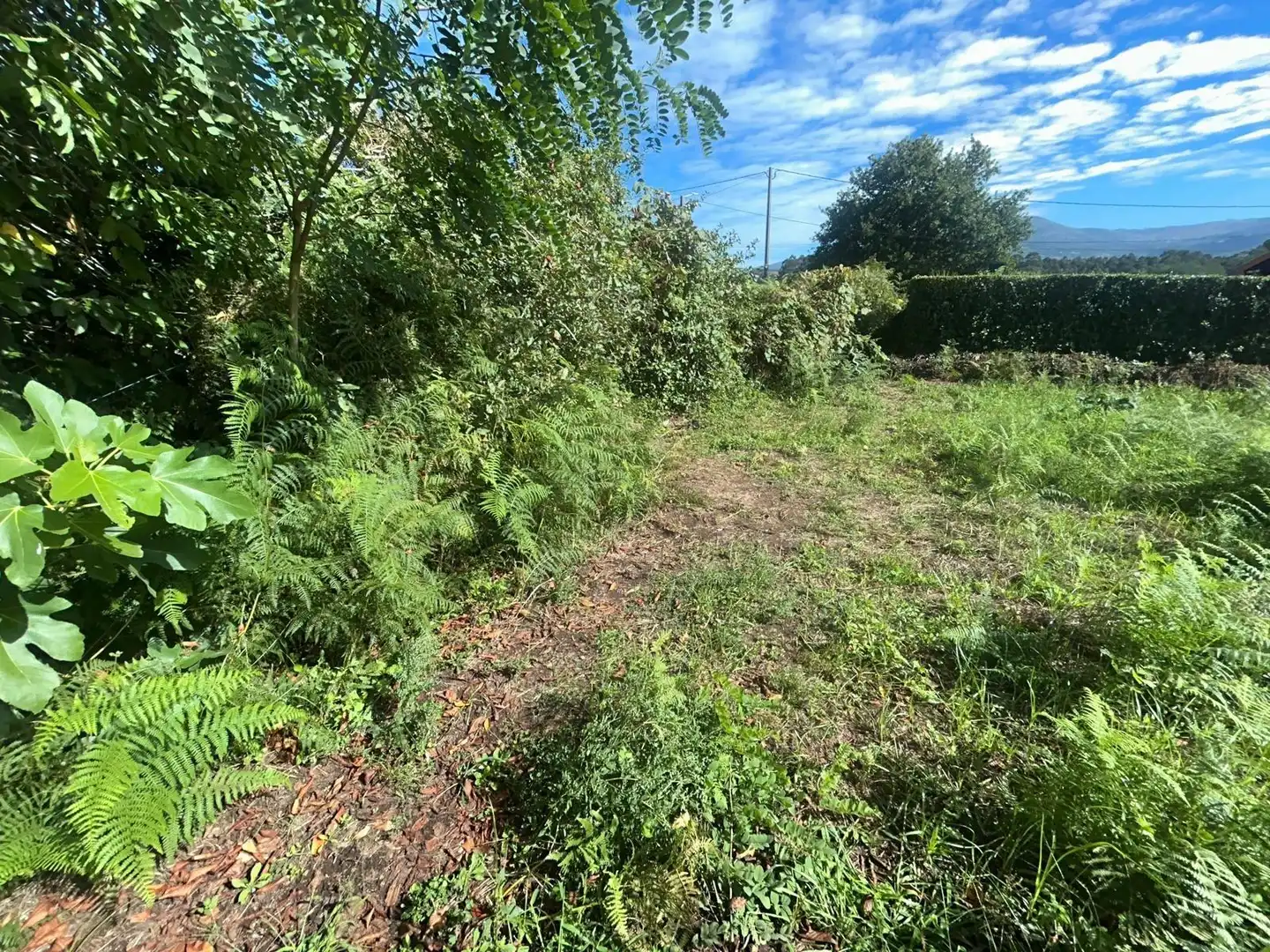 Casa o xalet en venda en Ribeira amb Jardí privat