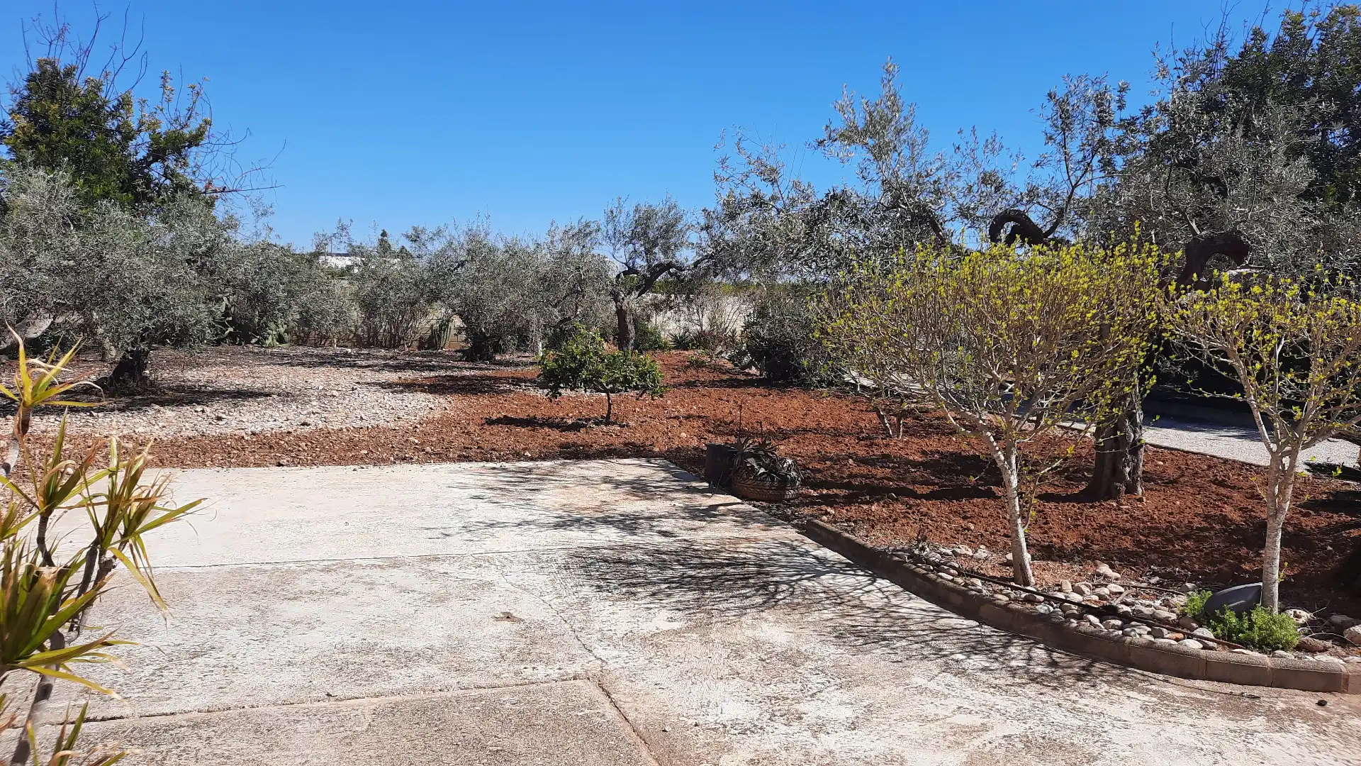 Villa avec terrasse à vendre à Les Salines, imagen 38