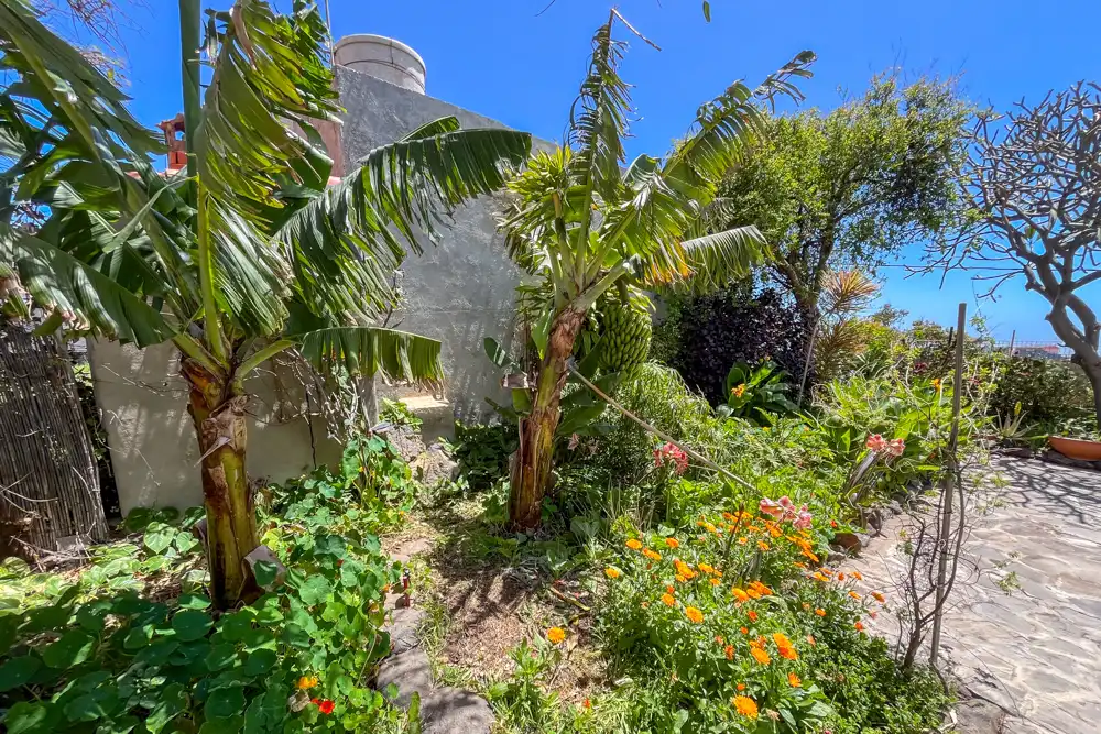 Jardí de Casa o xalet en venda en San Sebastián de la Gomera amb Terrassa i Moblat
