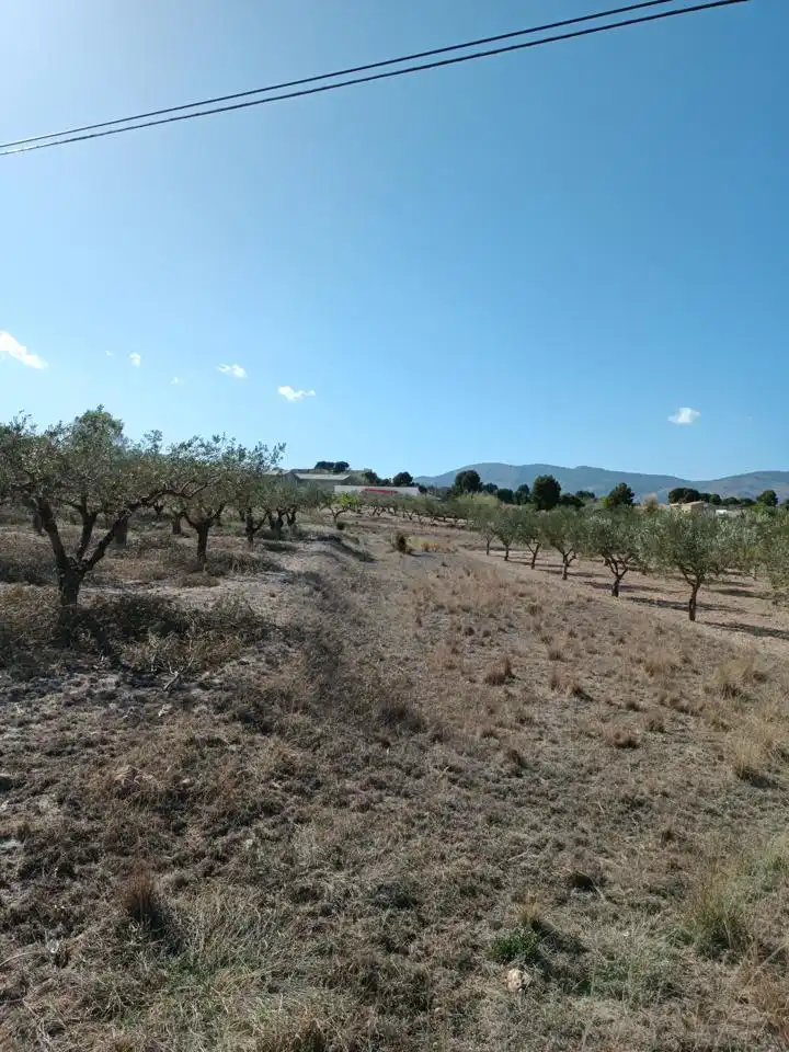 Terreny rústic en venda a Castalla, imagen 5