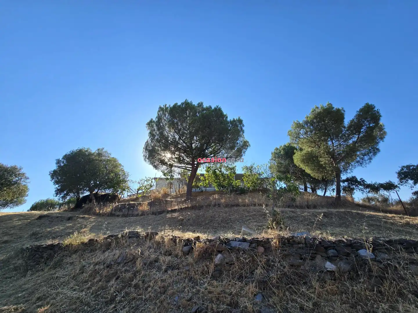 Houses for sale in Añora, Córdoba