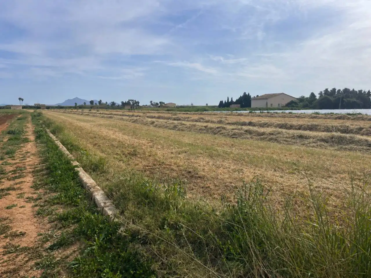 Wohnbaugrundstück zum Verkauf in Sa Pobla, imagen 9