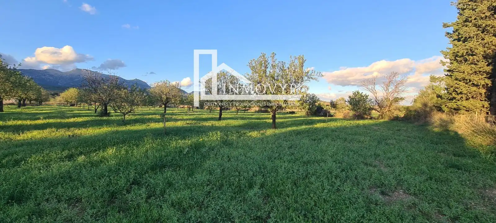 Finca rústica en venda en Inca