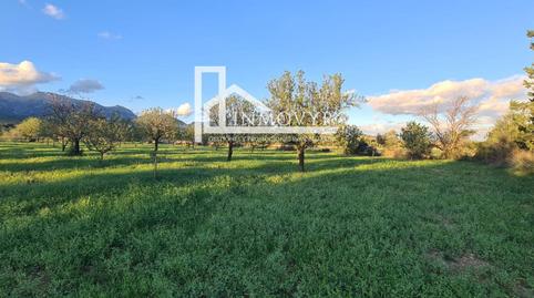 Photo 3 of Country homes for sale in Es Blanquer, Inca