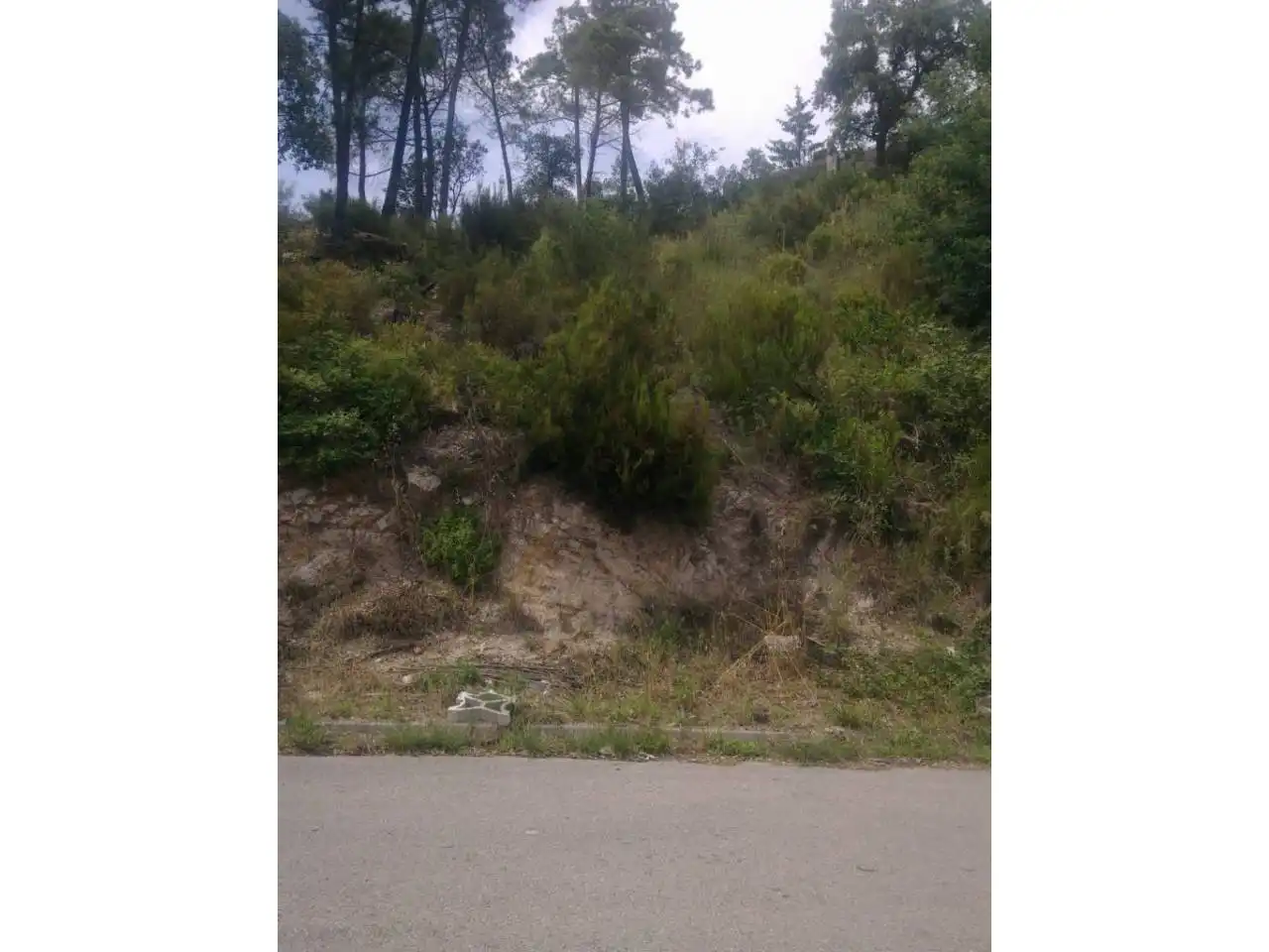 Terreny residencial en venda a Residencial Park