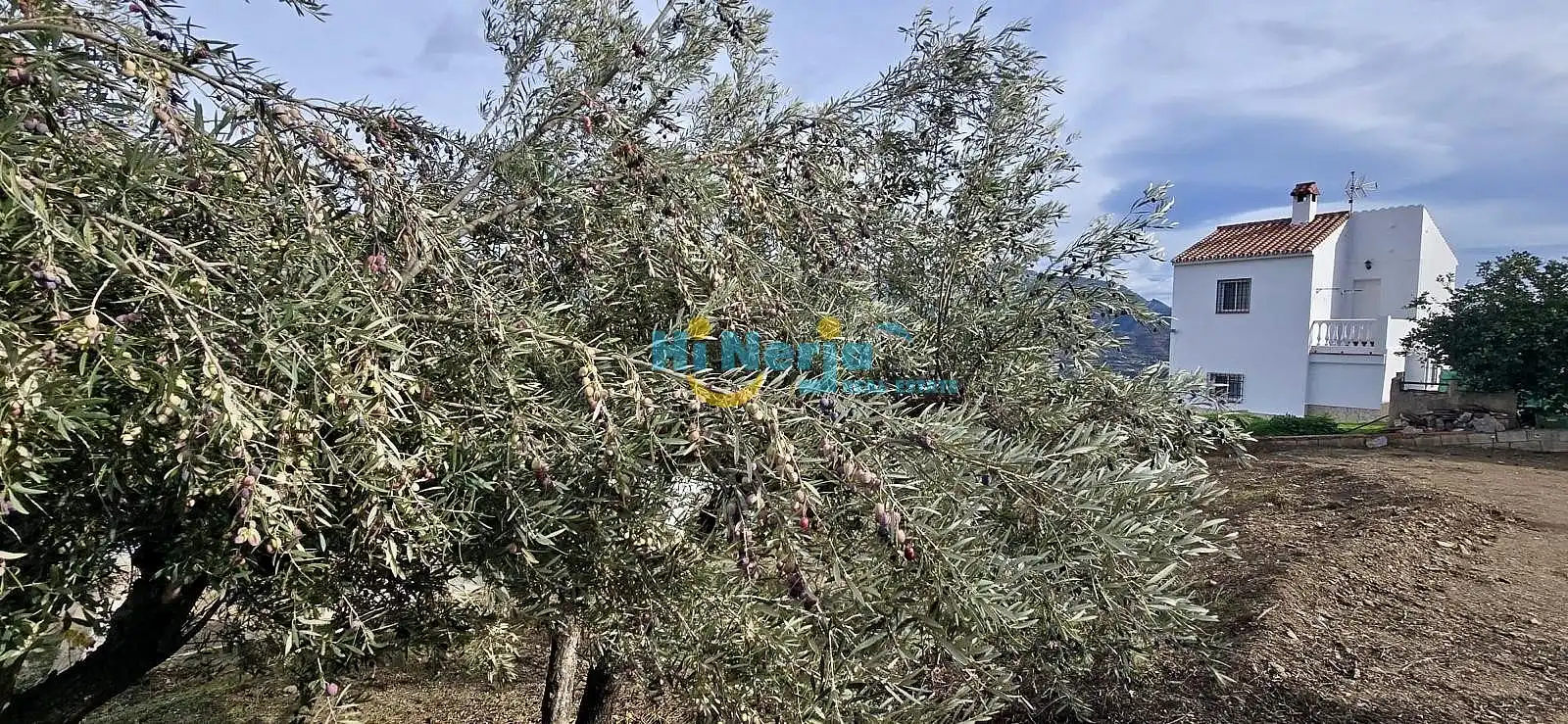 Casa rústica en venta en Torrox Pueblo, imagen 7