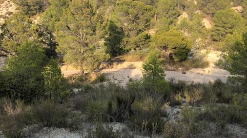 Photo 5 of Residential for sale in 79. Parcela, Puntarrón, Murcia