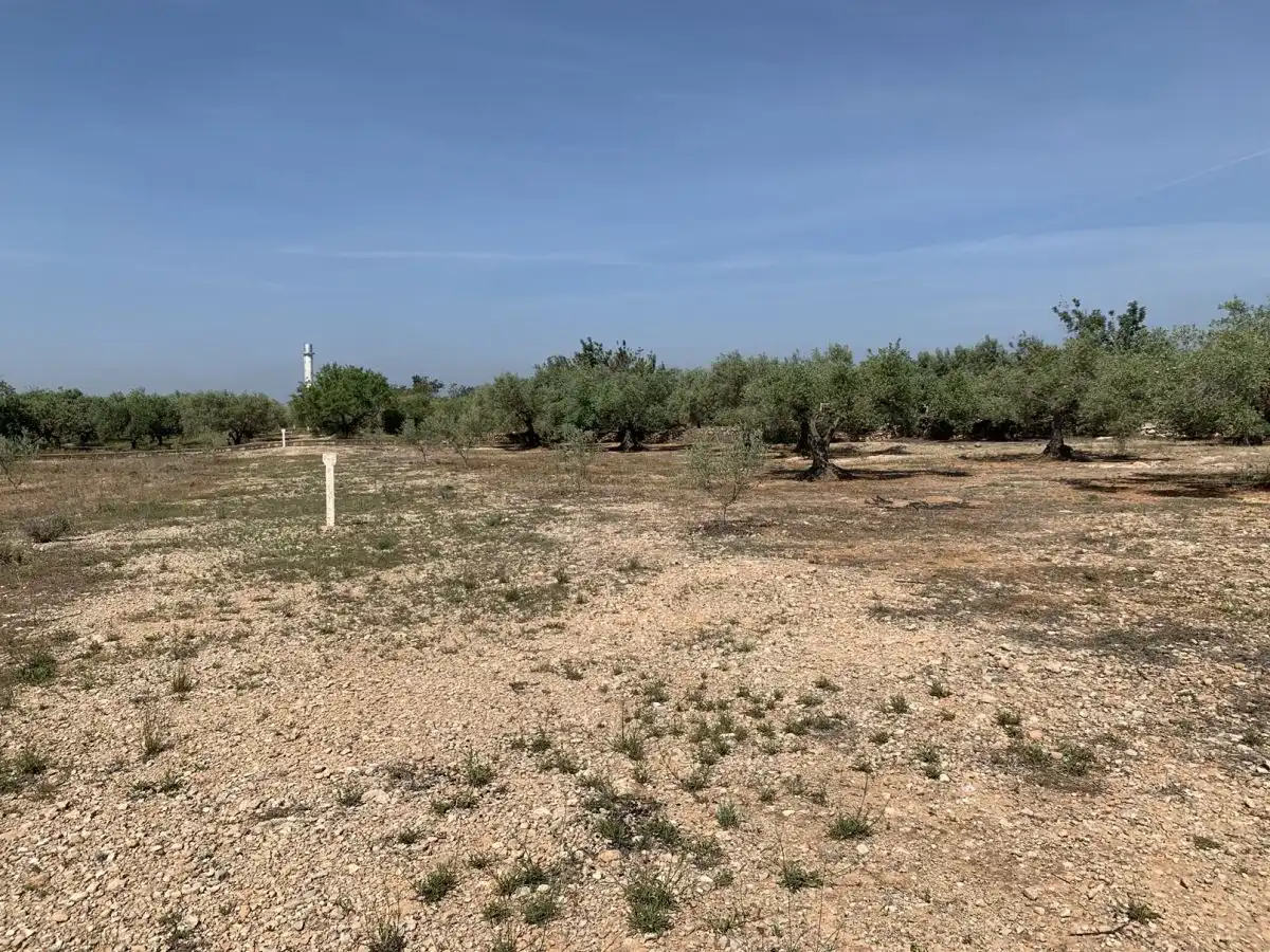 Country homes for sale in L'Ampolla
