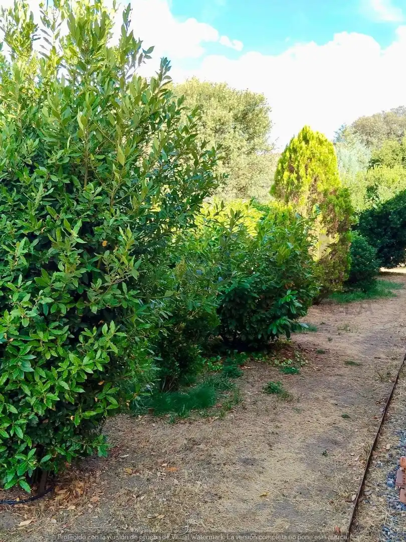 Jardí de Casa o xalet en venda en Navas de Riofrío amb Calefacció, Jardí privat i Traster