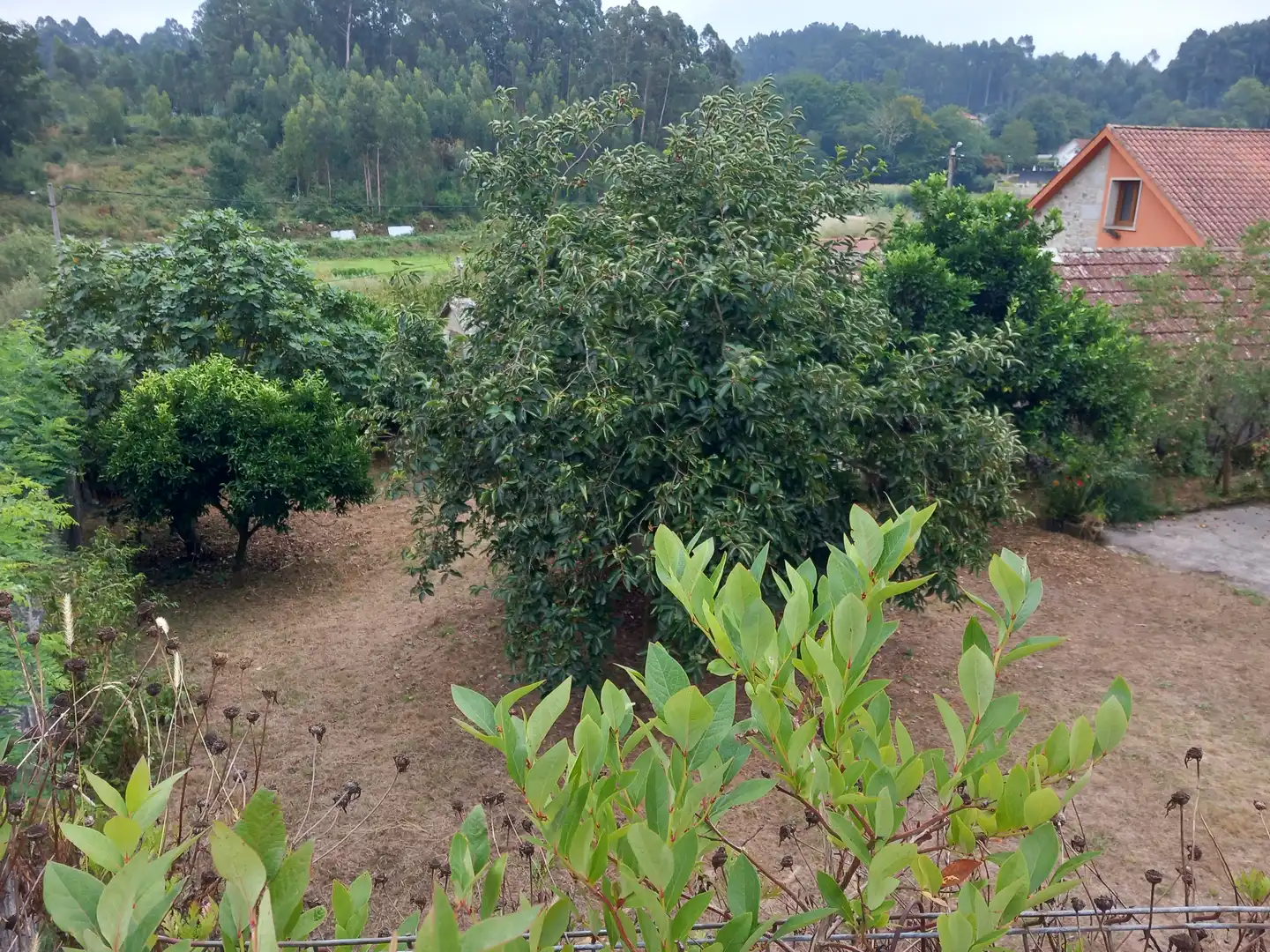 Casa o chalet en venta en Meis