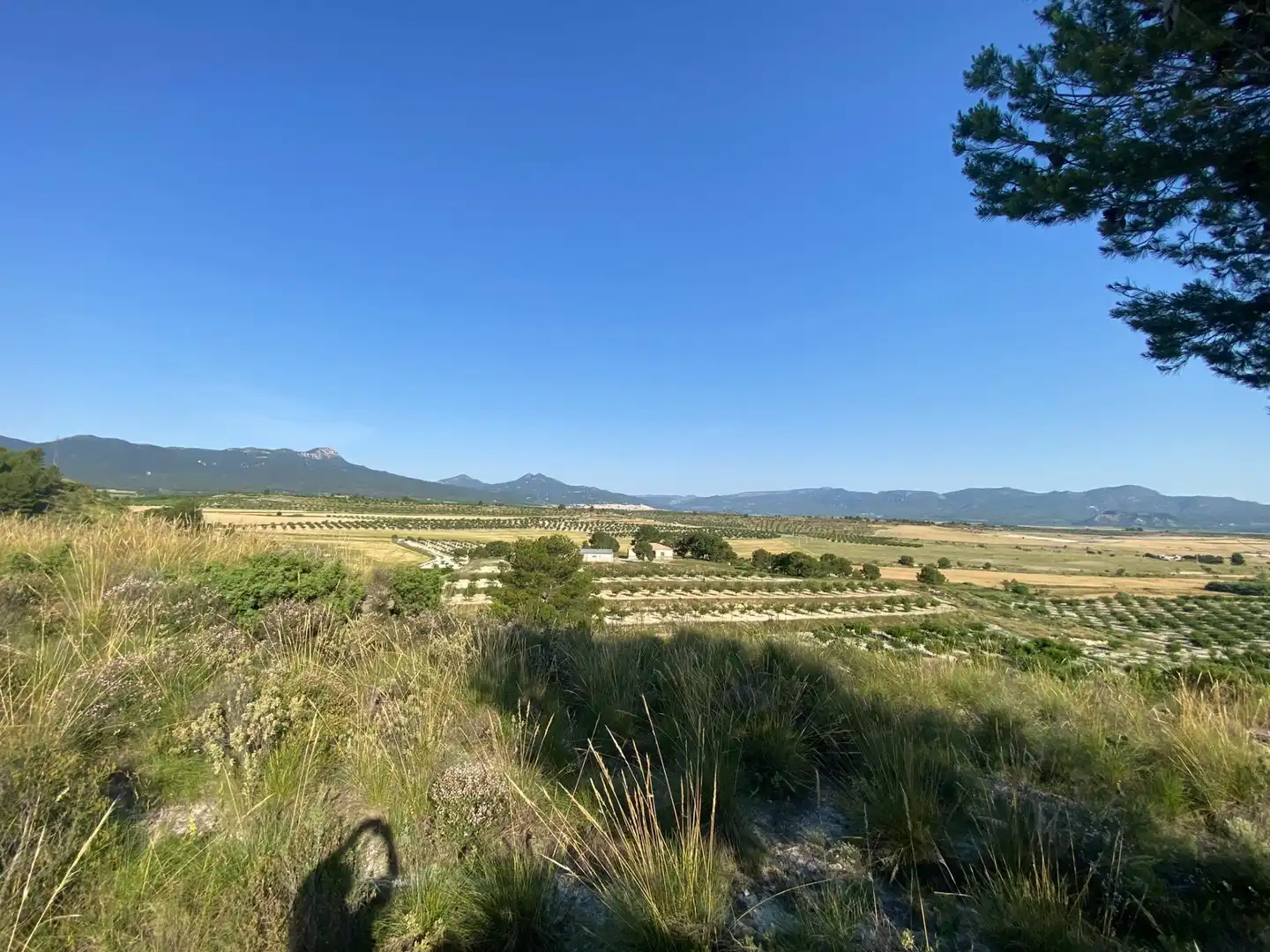 Villa à vendre à Moratalla, imagen 80