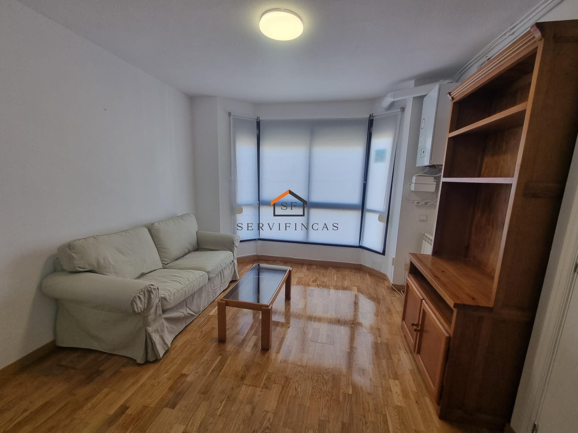 Sala d'estar de Pis de lloguer en  Madrid Capital amb Aire condicionat i Calefacció