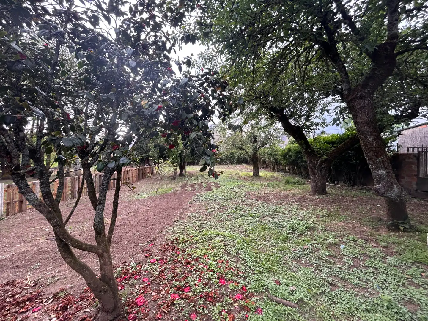 Casa adosada en venta en Guitiriz