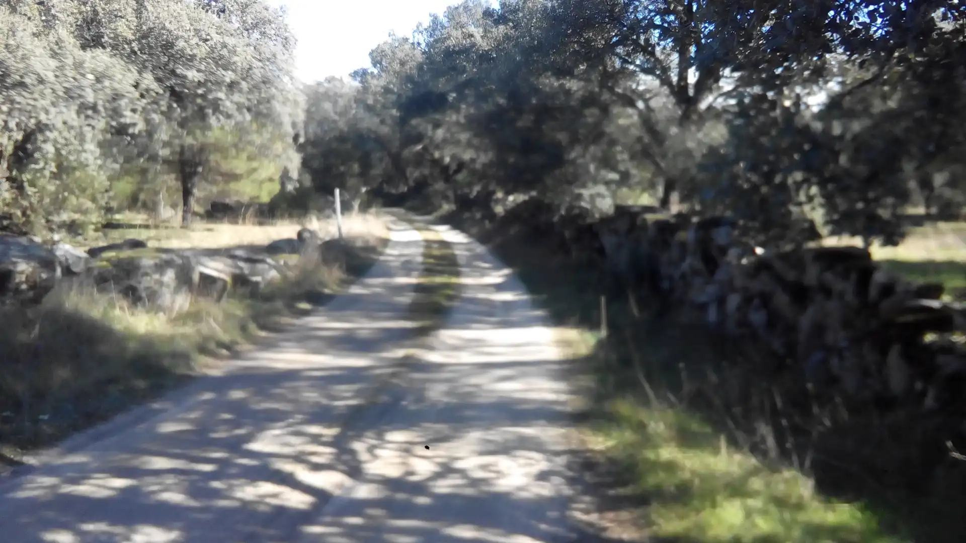 Terreni e lotti in vendita a Fresnedilla, imagen 6
